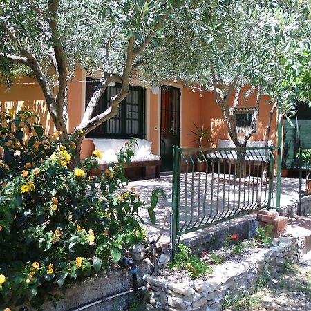 Il Vigneto "Cottage" Gaggi Cameră foto